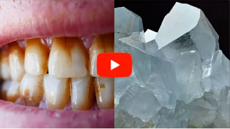 Dental Hack Protects Gums and Teeth